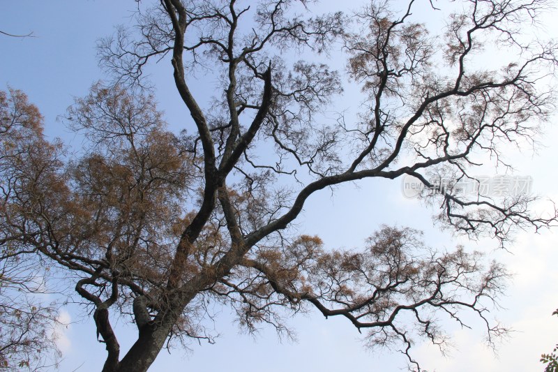 广东惠州：西湖景区