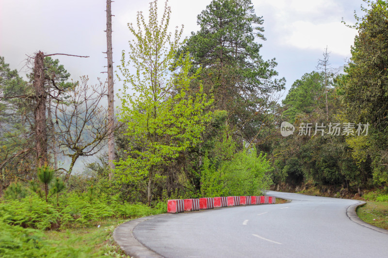 西藏林芝地区G318川藏公路沿途高原风光