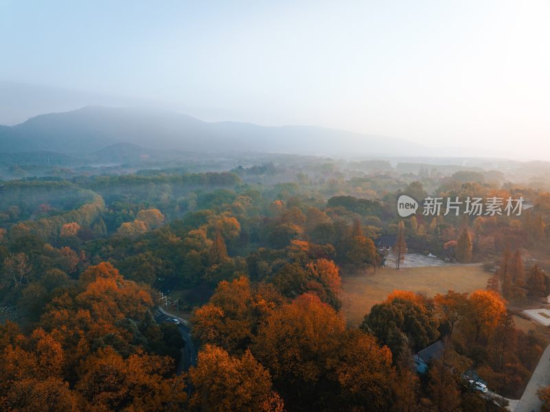 南京中山植物园前湖秋季风光