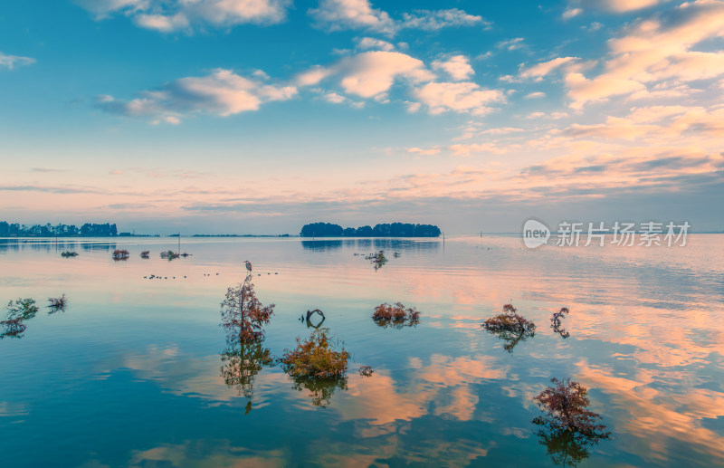 滇池湿地秋景