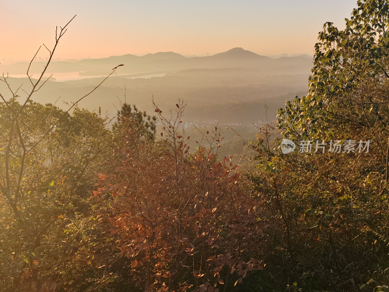 山林中观日出时的朦胧远景