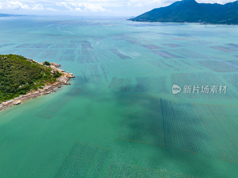 海上海鲜养殖基地航拍图