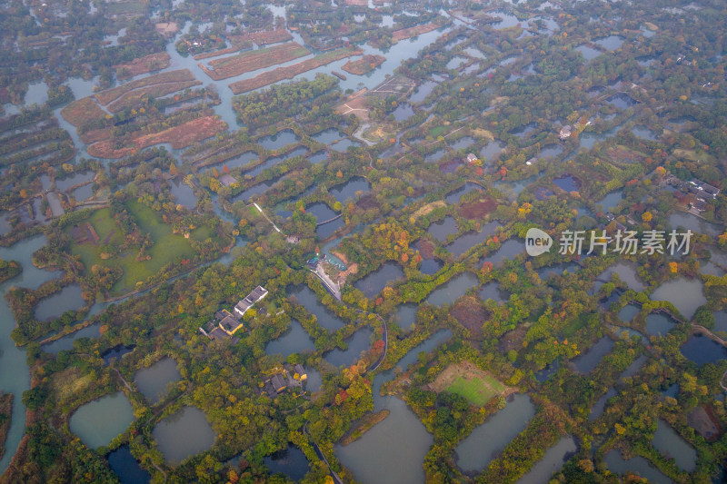 杭州秋天 西溪湿地 手摇船 湿地博物馆