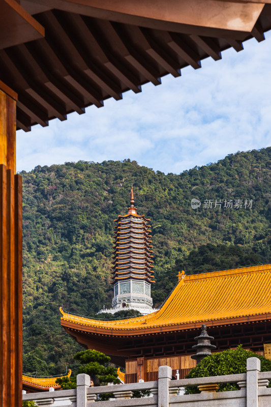 深圳弘法寺