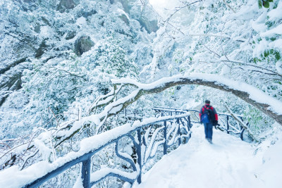 大自然冬季雪景