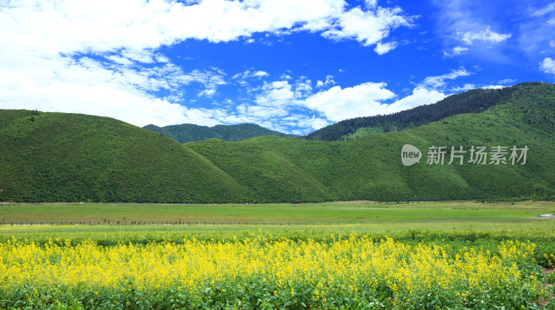 香格里拉纳帕海景区