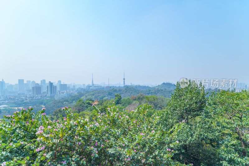 广州麓湖公园鸿鹄楼看绿色山林城市建筑全景