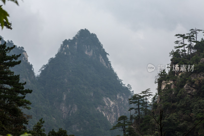 云海中的大明山