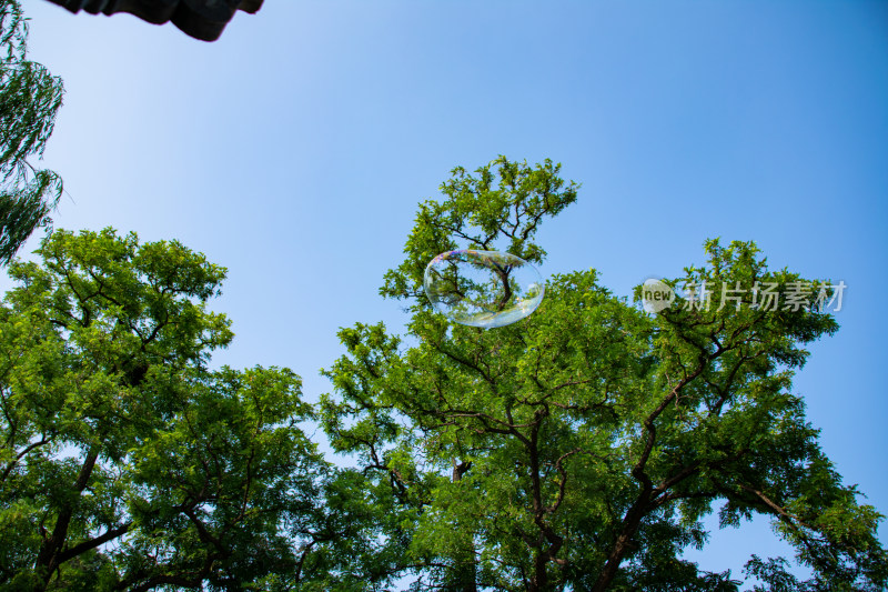 夏日天空肥皂泡泡