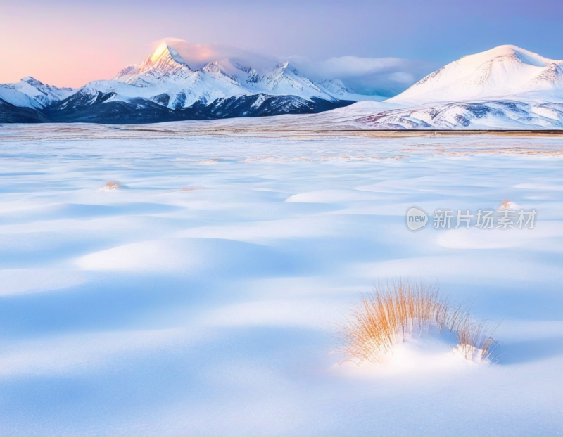 高山雪地