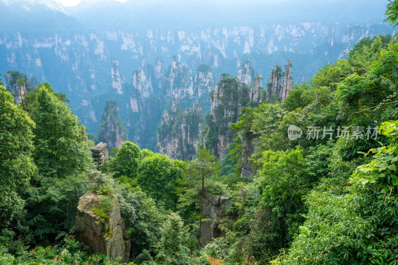 中国湖南张家界景区奇特山峰与茂密森林