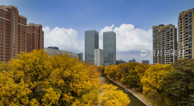 天津运河天子津渡公园秋季景色城市风光