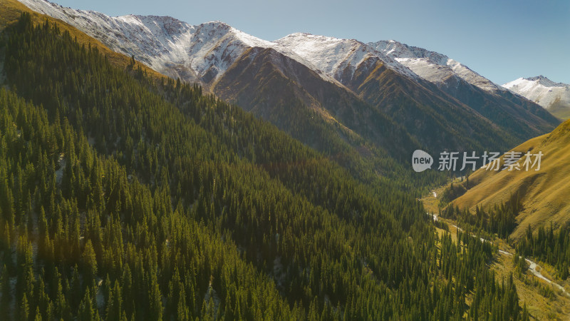 航拍雪山森林河谷自然风景