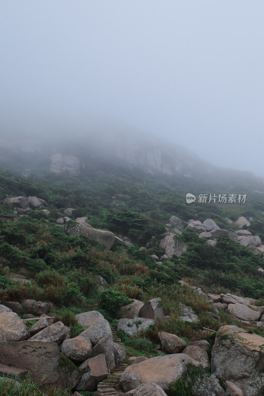 雾气弥漫的山间布满巨石与植被