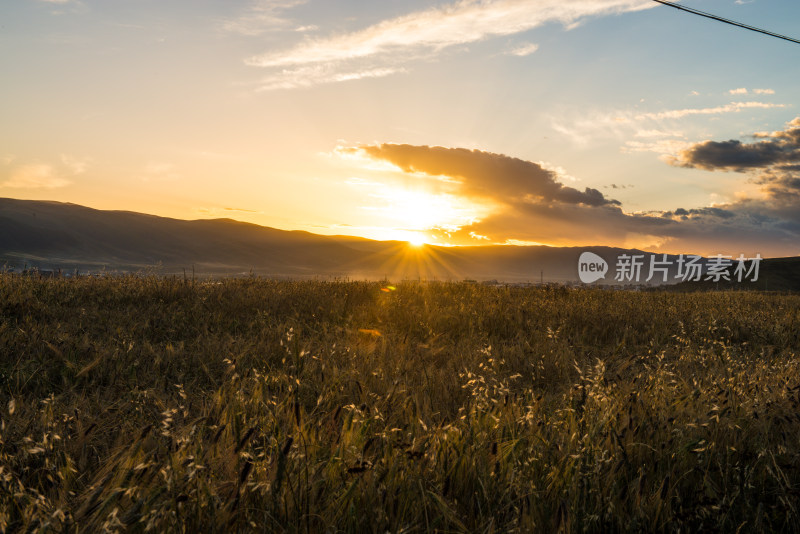 阿坝县城日落