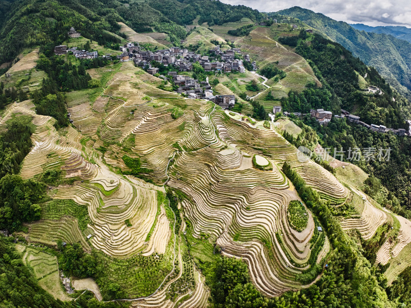 层层叠叠的梯田