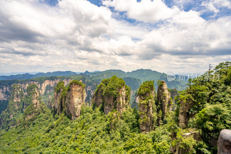 中国湖南张家界景区奇特山峰与茂密森林