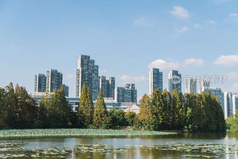 晴朗天气下城市建筑与水面倒影