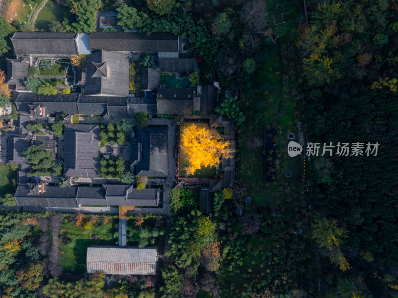 航拍古寺庙千年银杏秋景西安古观音禅寺