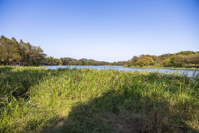 杭州西湖茅家埠江南水乡风景