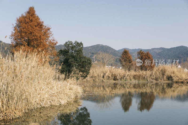 宁波东钱湖下水湿地钱湖秘境冬天景色