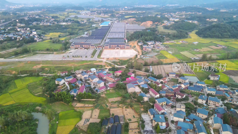 航拍乡村田园农业种植