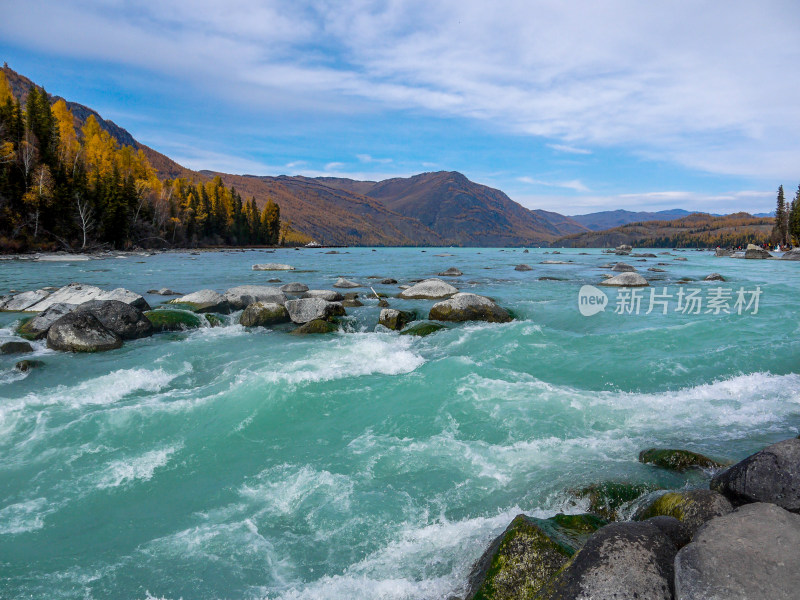 喀纳斯河风景