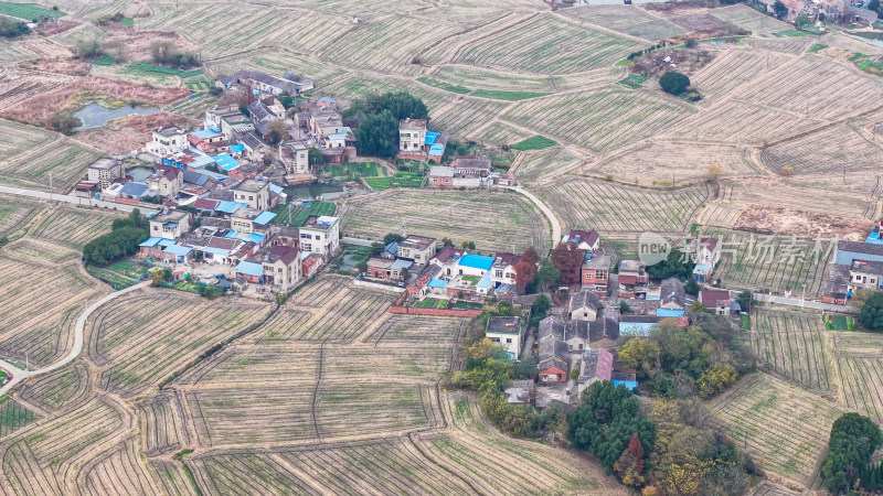 乡村田野与民居鸟瞰景象