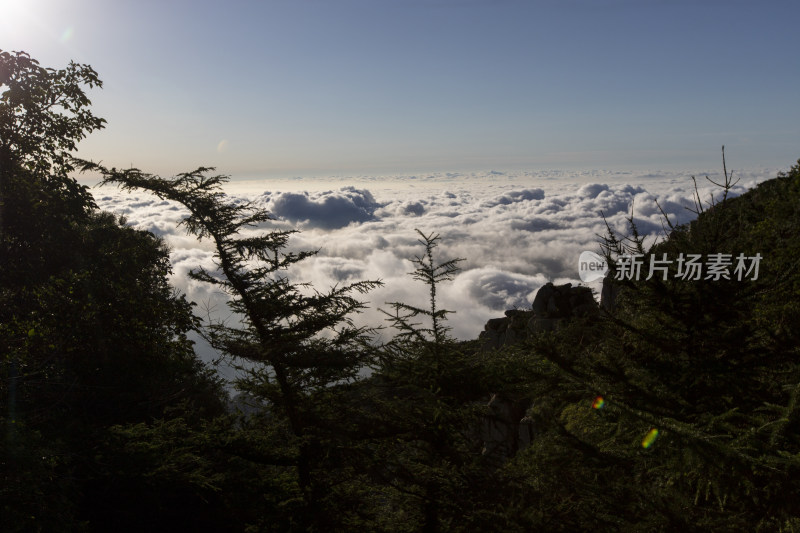 泰山云海奇观