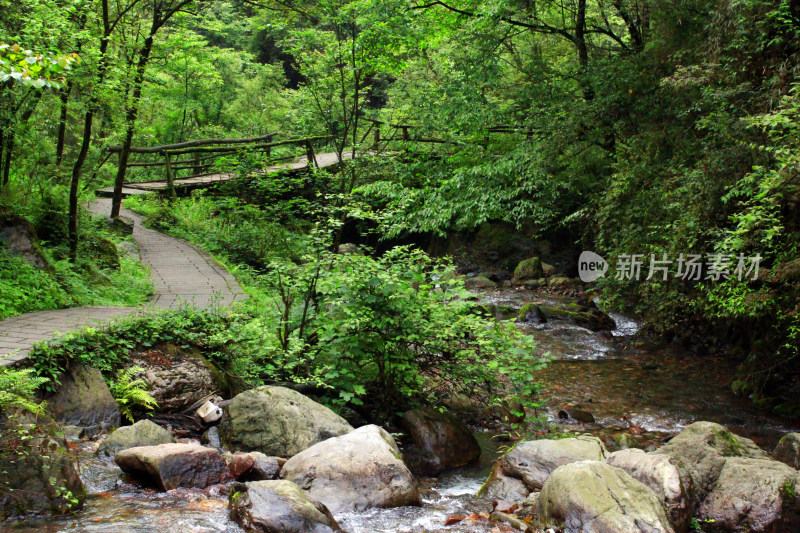 西岭雪山大飞水