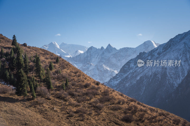 新疆夏塔雪山草原山水自然风景