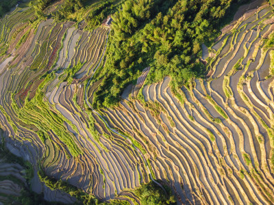 农村梯田风光