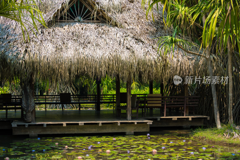 中科植物园里的休息区小屋