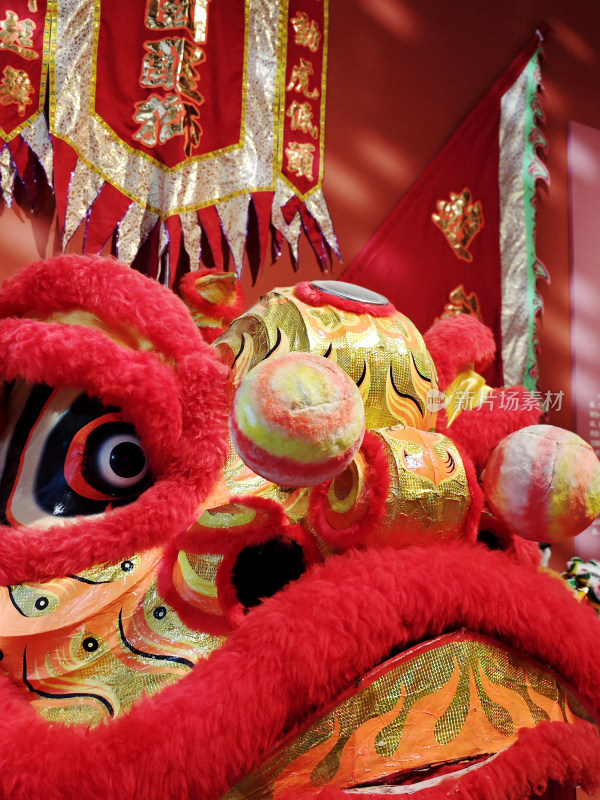 中国新年春节传统文化舞狮