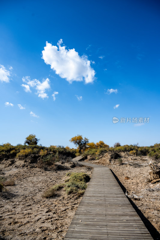 昌吉鸣沙山·胡杨林景区