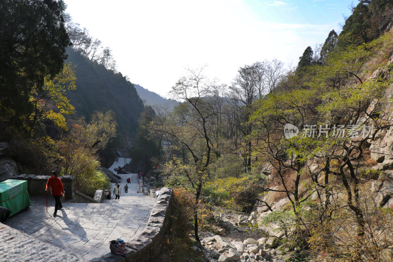 山东泰山景观