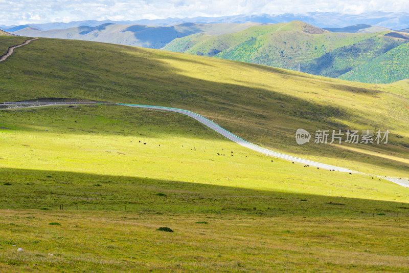 318川藏线川西甘孜高海拔草原雪山自然风光