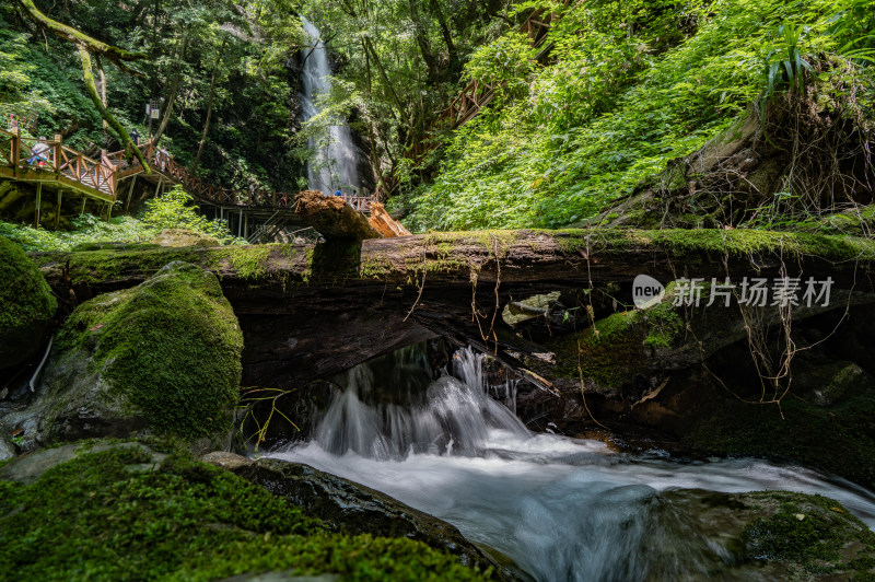 湖北 襄阳  保康县 五道峡 森林 瀑布