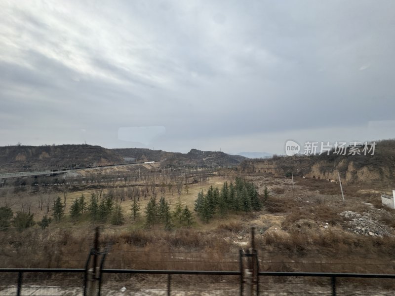 野外山丘树木远景