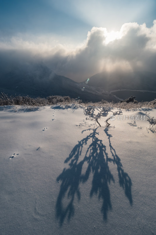 杭州临安浙西天池冬季雪景雾凇野外自然风光