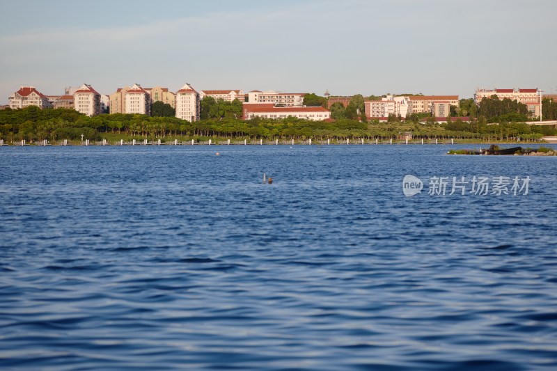 厦门园博苑的夏天