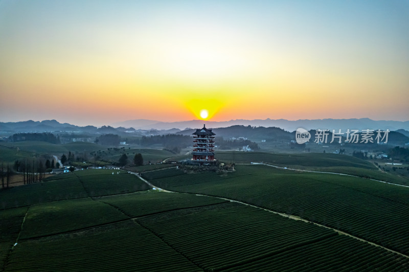 贵州遵义湄潭茶海
