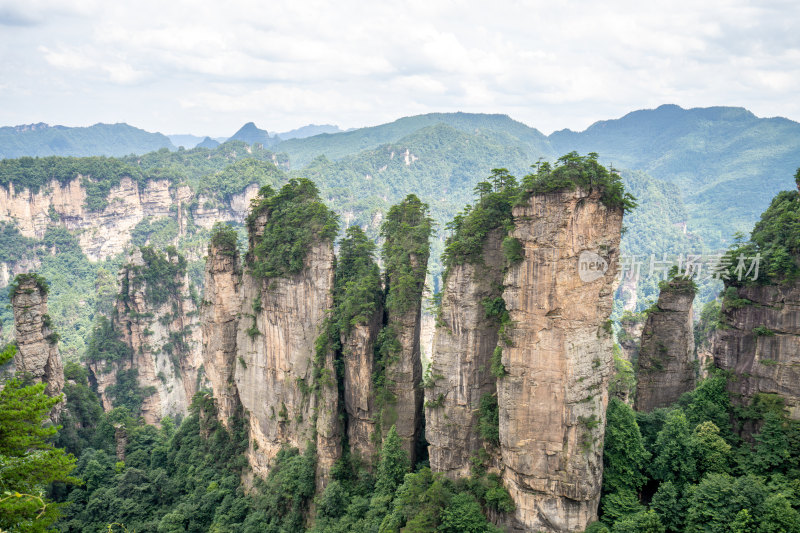 中国湖南张家界景区奇特山峰与茂密森林