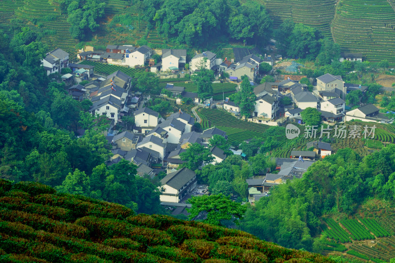 浙江杭州龙井村