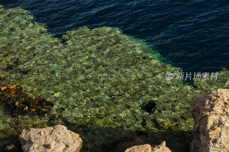 潜水圣地红海蓝洞