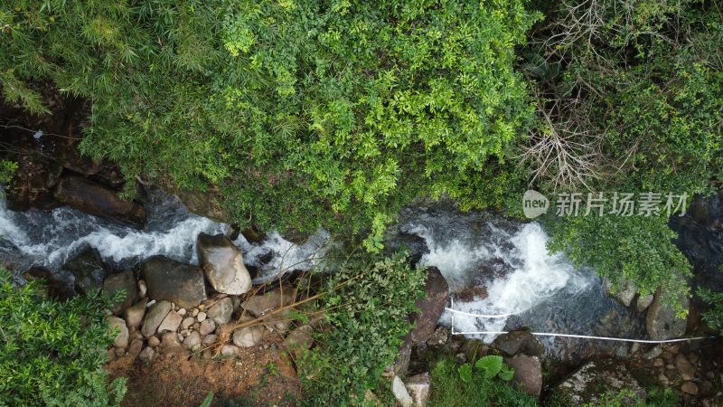 广东东莞：银瓶山树林溪涧流水潺潺