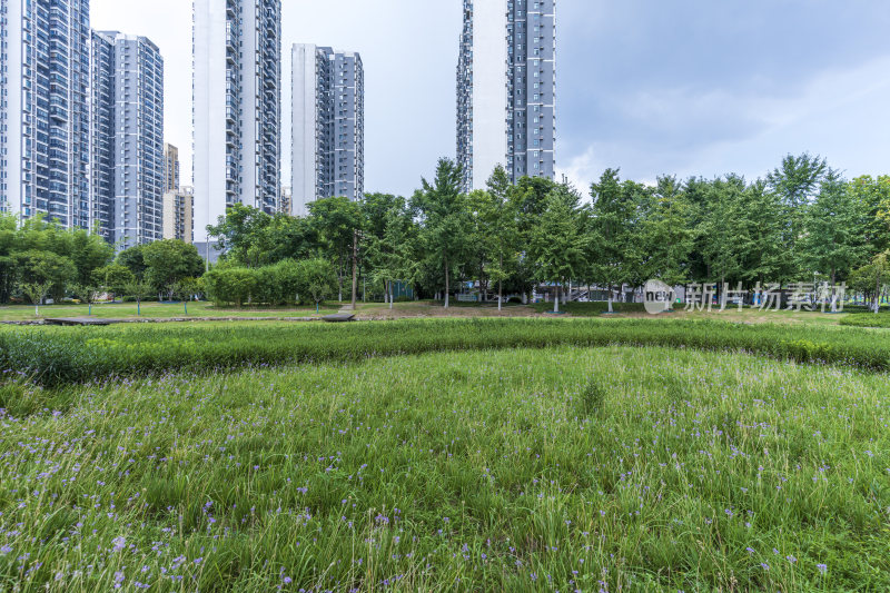 武汉天兴洲大桥桥南公园风景