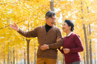 在银杏林散步的老年夫妻