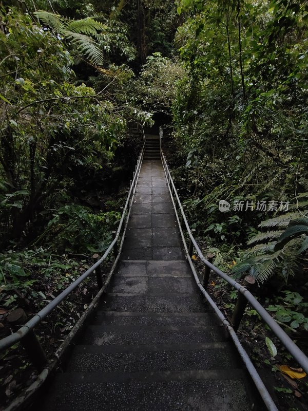 印尼巴厘岛热带雨林桥
