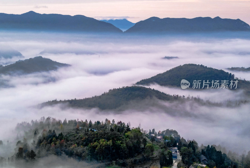 重庆酉阳：大龙村的枫叶红了